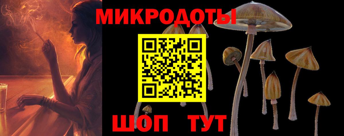 Новосибирск  Галлюциногенные грибы MAGIC MUSHROOMS  магазин  наркотиков  Вход с VPN  Псилоцибиновые грибы Magic Shrooms 
